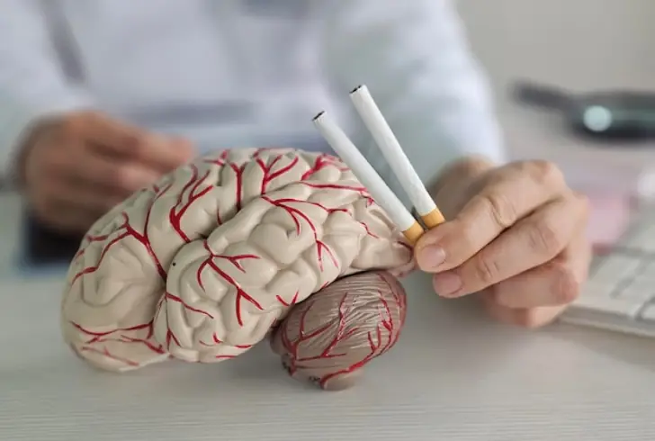 Brain model near cigarette